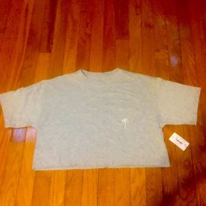 Woman’s Grey Crop Top (NWT)